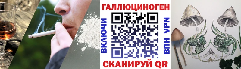 Галлюциногенные грибы прущие грибы  Верея 